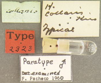 Media type: image;   Entomology 2323 Aspect: labels